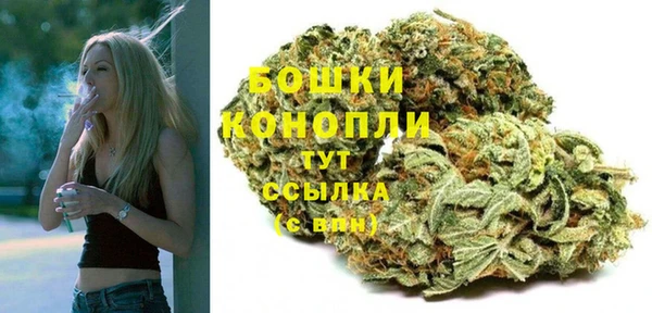 мдпв Михайловск
