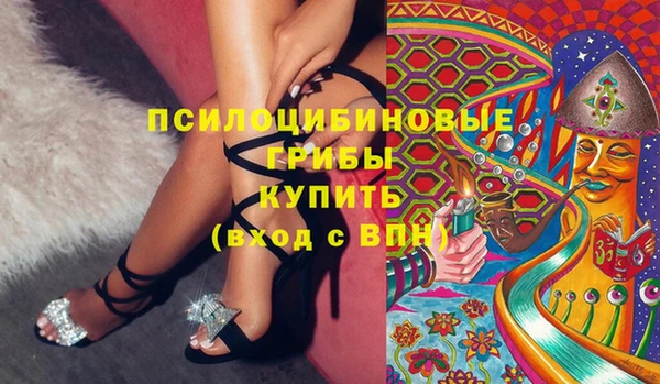 мдпв Михайловск