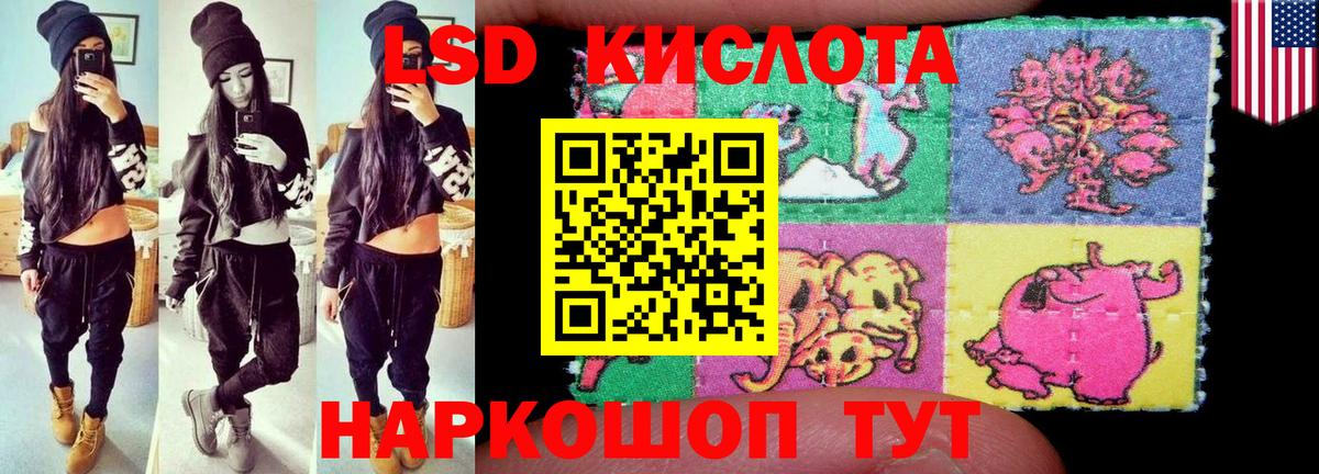 блэк спрут как зайти  LSD-25 экстази кислота  Вход с VPN  Элиста  Лсд 25 экстази кислота 