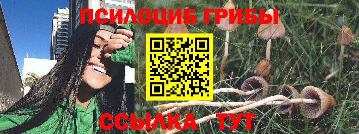 Галлюциногенные грибы GOLDEN TEACHER Элиста