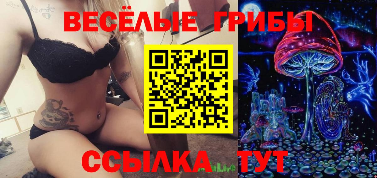 купить закладку  Галлюциногенные грибы ЛСД  Элиста  Вход с VPN  Галлюциногенные грибы прущие грибы 