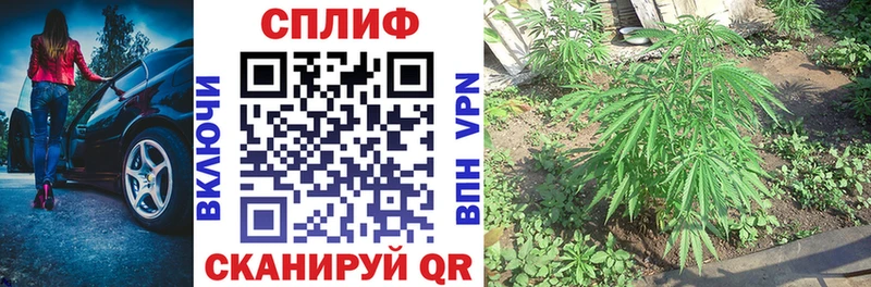Бошки Шишки VHQ  как найти закладки  Элиста 